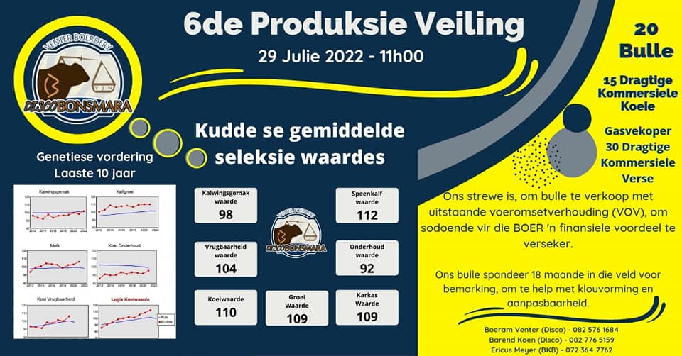 2022 auction advertisement