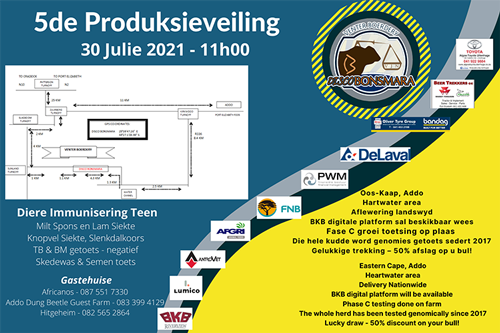 auction advertisement 2021 500